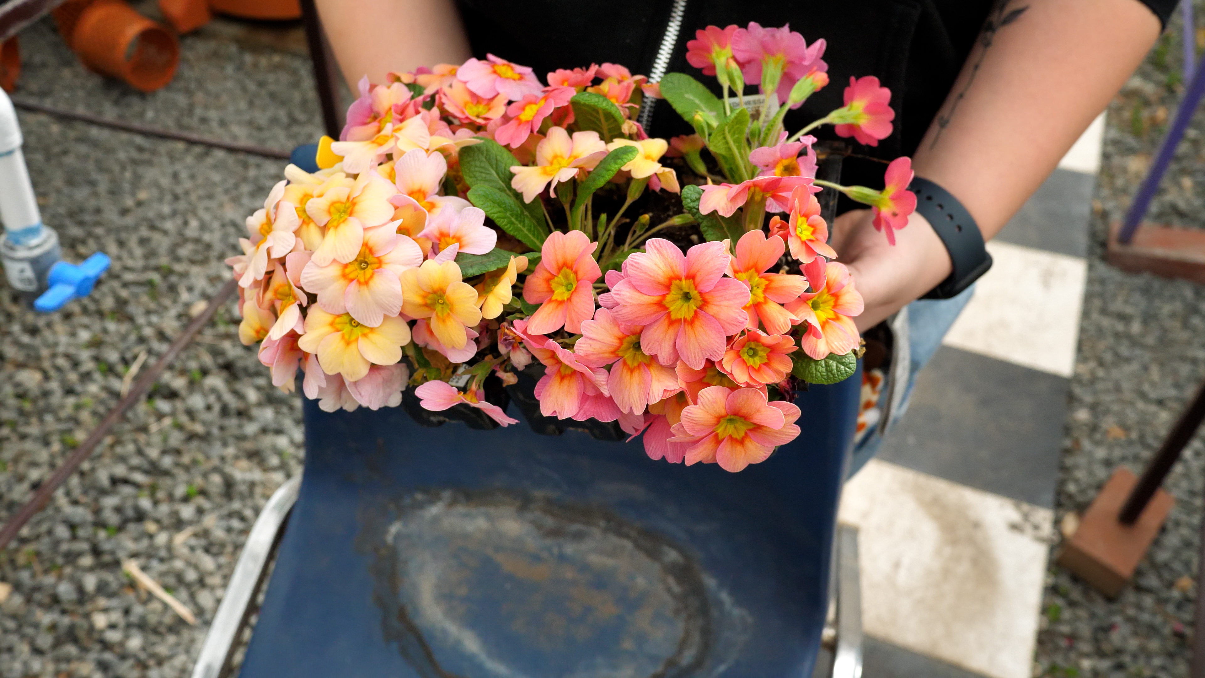  flowers